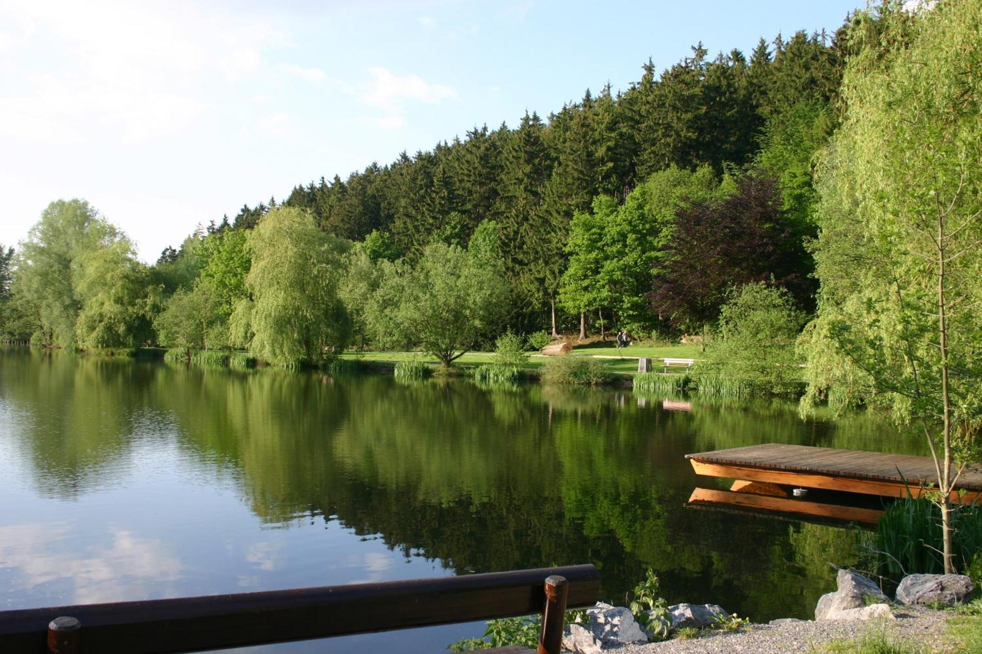 Ferienwohnung "Kirchblick" Im Ferienhaus Blumenhain Бад-Вюнненберг Екстер'єр фото